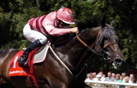 racehorse runner today races.